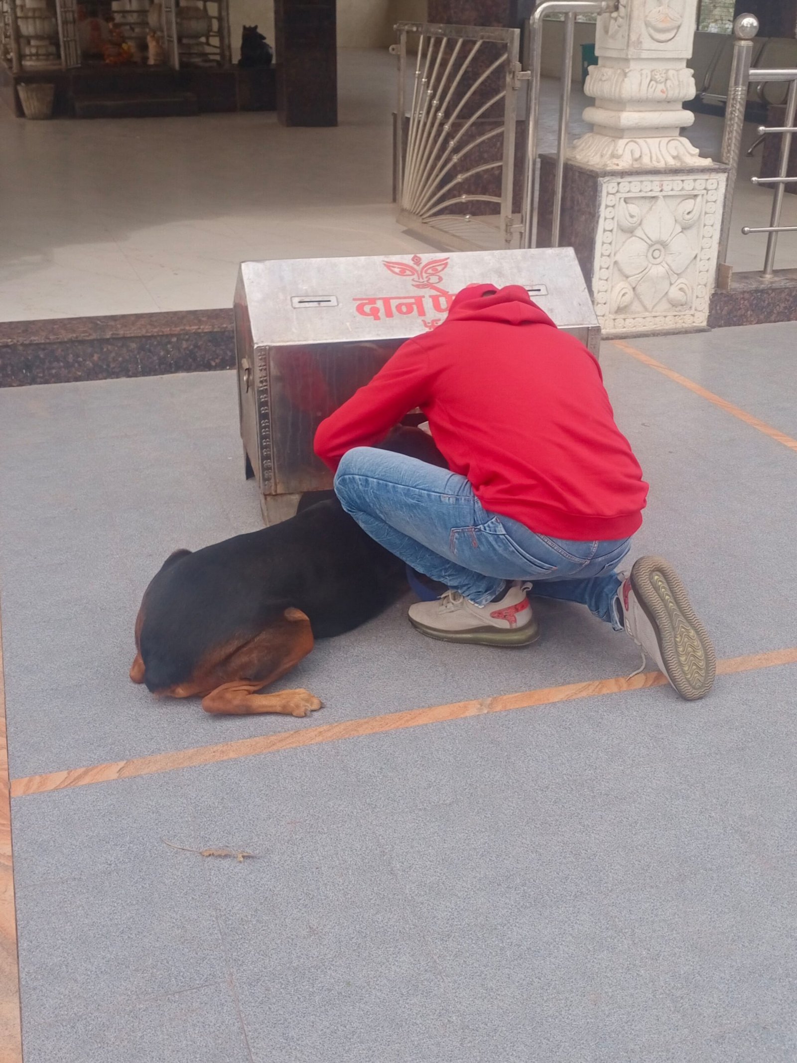 अकलतरा शहर के प्रसिद्ध महामाया मंदिर में चोरी, दानपेटी से तकरीबन 2.50 लाख पार