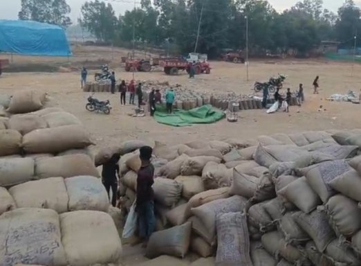 धान खरीदी केंद्र बसदेई में भारी भ्रष्टाचार, नाबालिग बच्चों से कराया जा रहा काम, किसानों से कराया जा रहा हमाली 