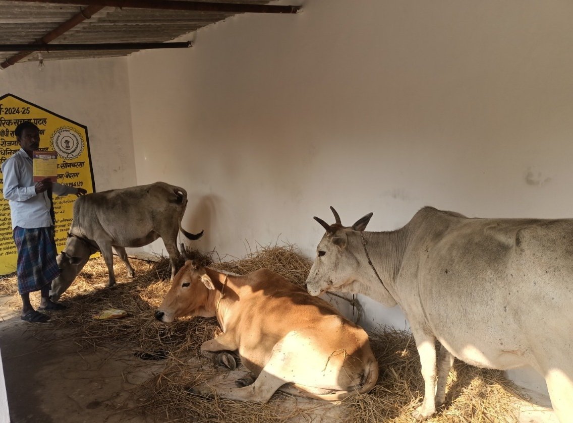 Janjgir news : मनरेगा के पशु शेड से बदली अक्तीराम की तकदीर