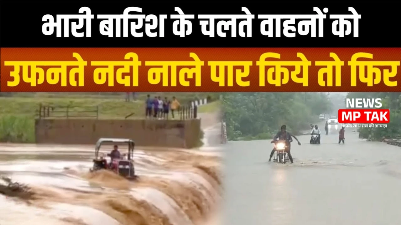 MP News: मूसलाधार बारिश से उफने नदी-नाले, बहने लगे वाहन