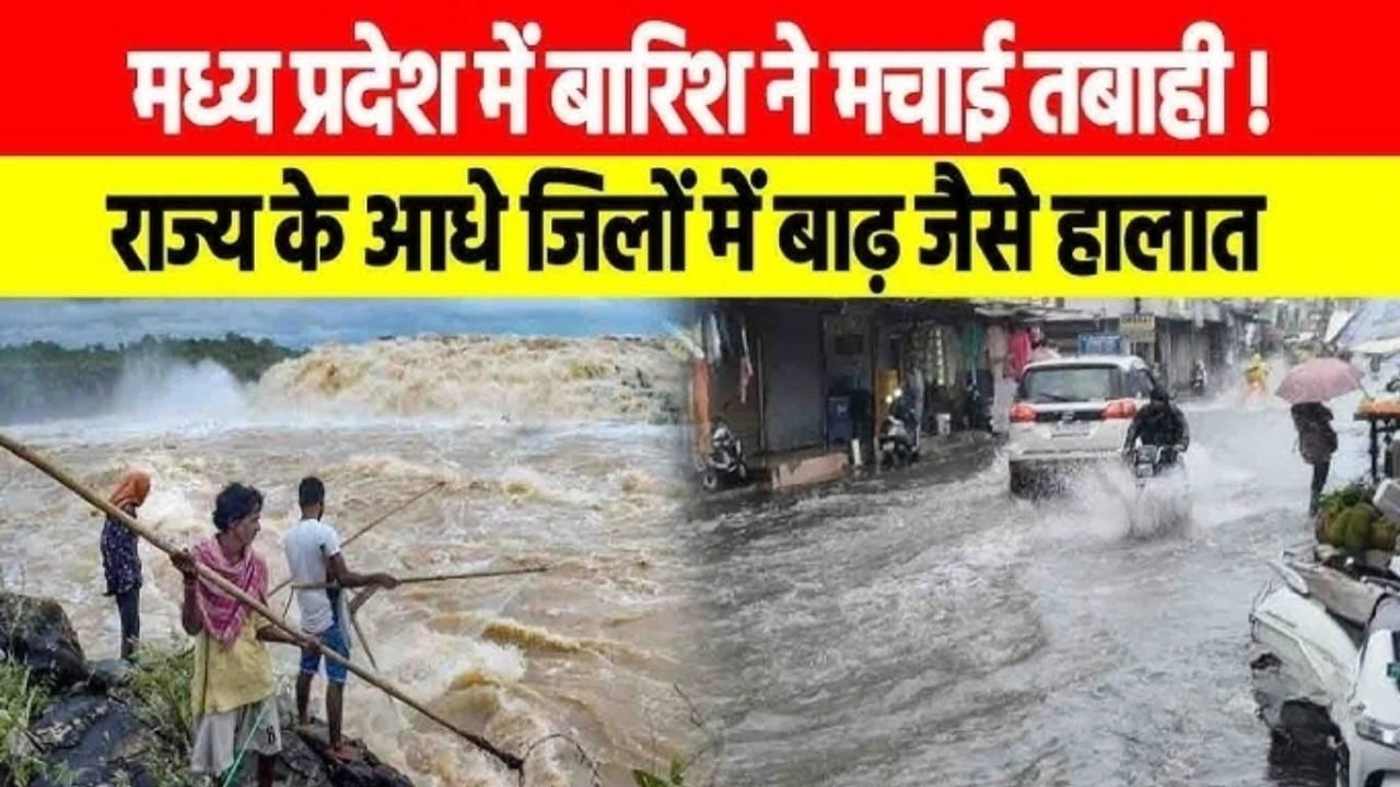 MP Weather Alert: नर्मदा उफान पर, पुल-स्कूल डूबे, गांवों में फंसे लोग रेस्क्यू से निकाले गए