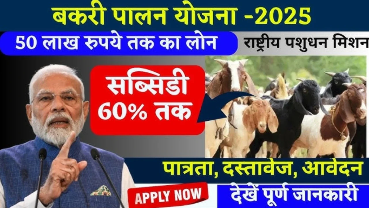 Sarkari Yojana: बकरी पालिए और पाइए 1 करोड़ तक का लोन और 50% सब्सिडी जानिए यूपी सरकार की योजना 2025